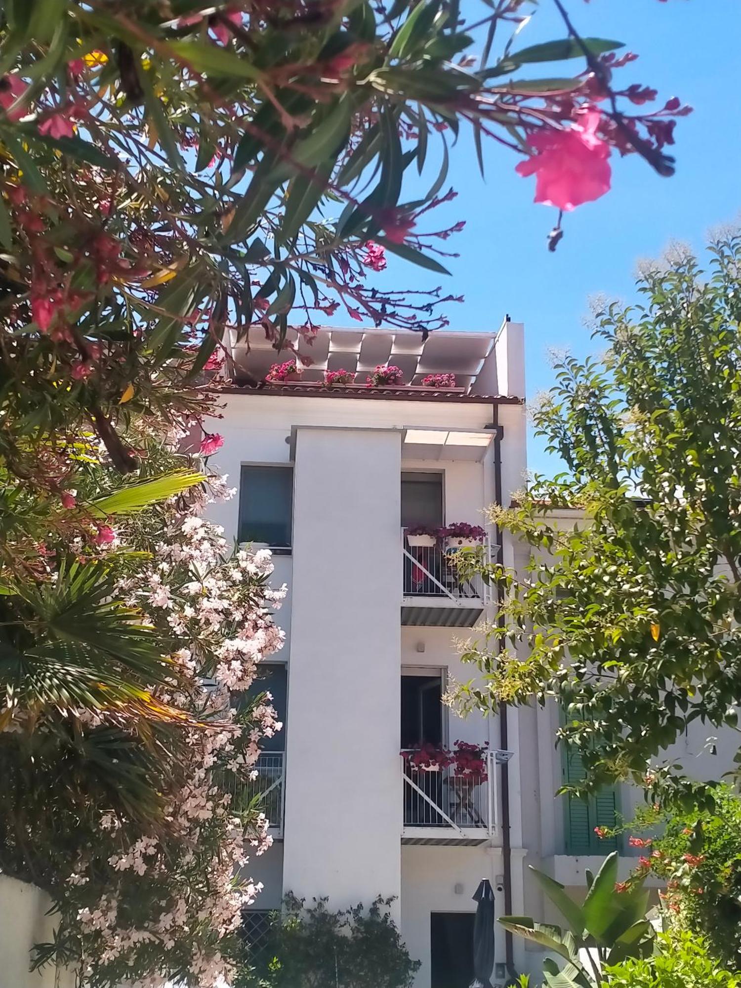 B&B Previsto Sole Civitanova Marche Bagian luar foto